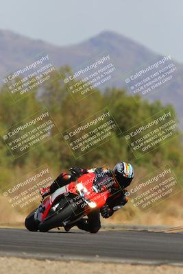 media/Apr-12-2025-Race Pace (Sat) [[9230add55f]]/Vested/8-Turn 7 (212pm)/